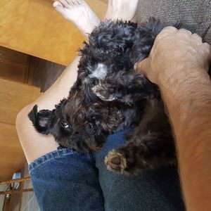 Meet your Posher, Jan